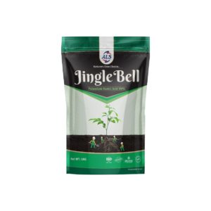 JINGLE BELL