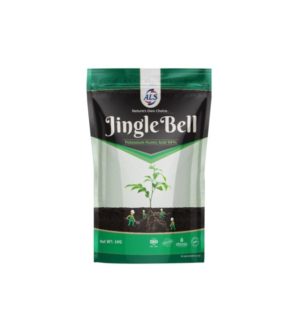 JINGLE BELL